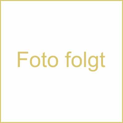 Portraitfoto von Maria Petersen